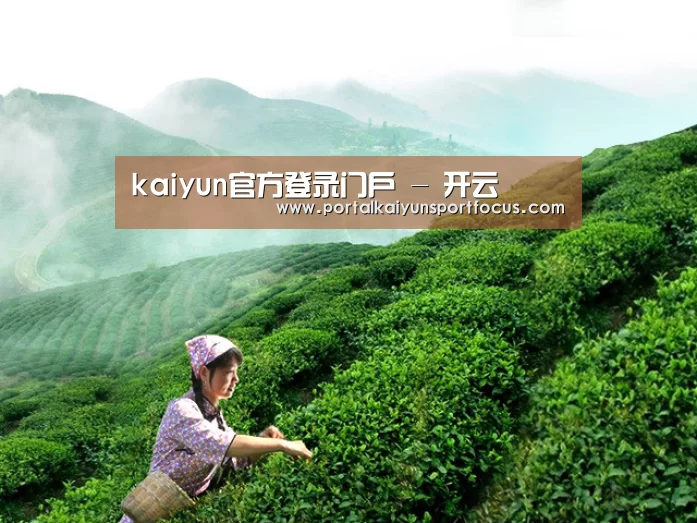 kaiyun官方登录门户 - 开云