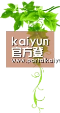 kaiyun官方登录门户 - 开云