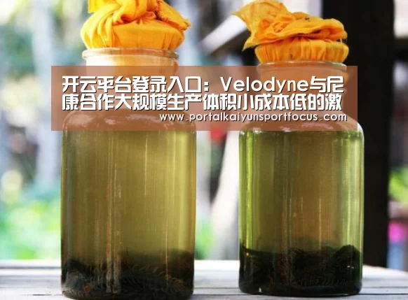 开云官方登录