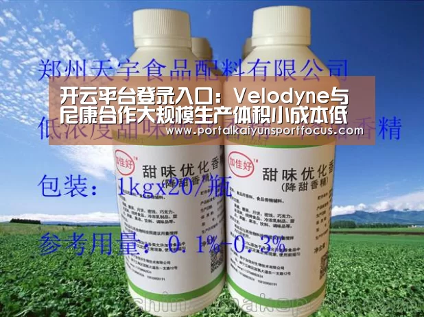 开云平台登录入口