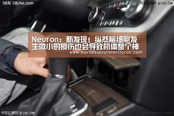 开云平台登录入口