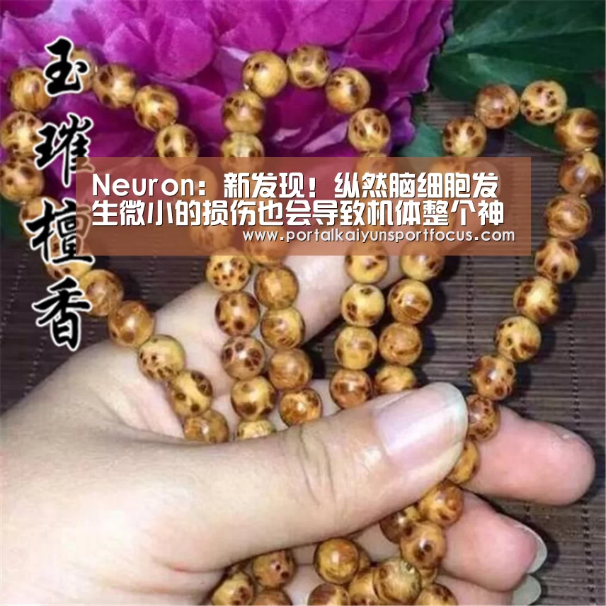 开云平台登录入口