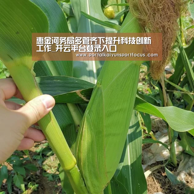 惠金河务局多管齐下提升科技创新工作_开云平台登录入口(图1) 开云官方登录
