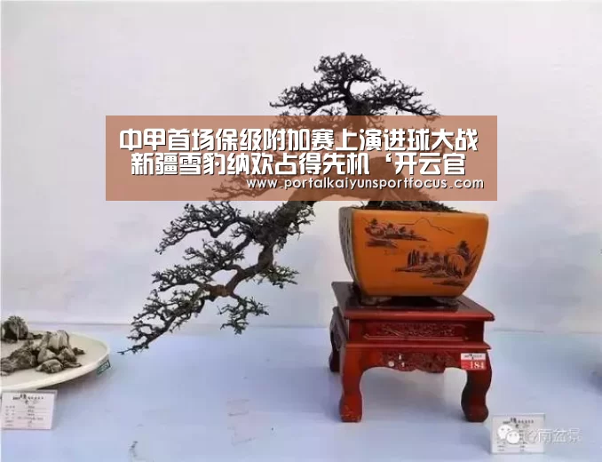 中甲首场保级附加赛上演进球大战 新疆雪豹纳欢占得先机‘开云官方登录’(图1) 开云网址登录入口