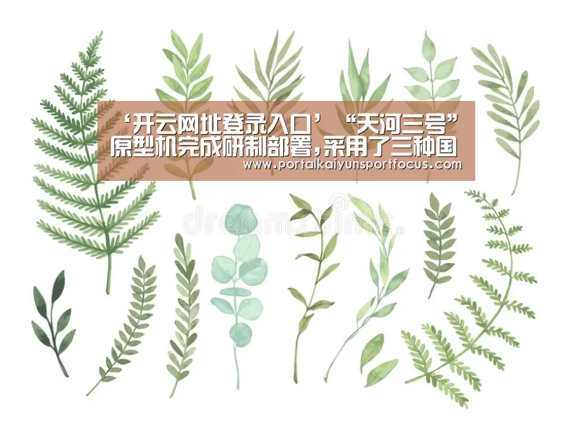 ‘开云网址登录入口’“天河三号”原型机完成研制部署,采用了三种国产芯片(图1) 开云平台登录入口