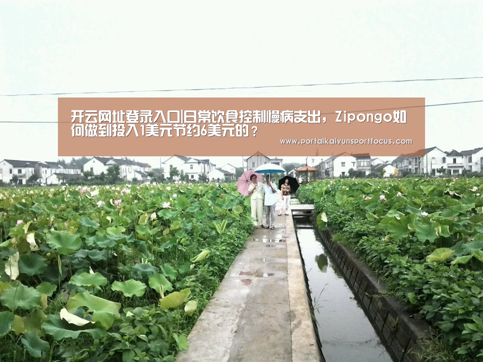 开云平台登录入口