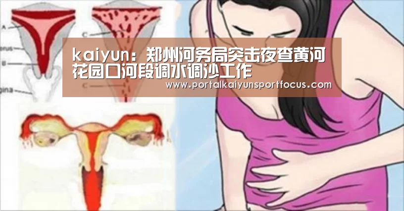 开云平台登录入口
